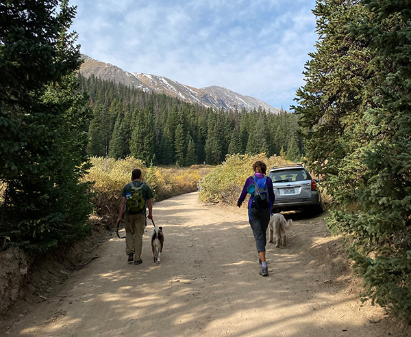 Dog Hiking Gear