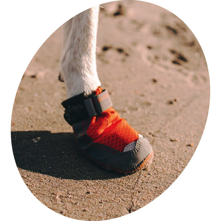 Closeup of a Ruffwear dog boot. Protecting a canine's feet should be a consideration in any walking/running/hiking adventure. 