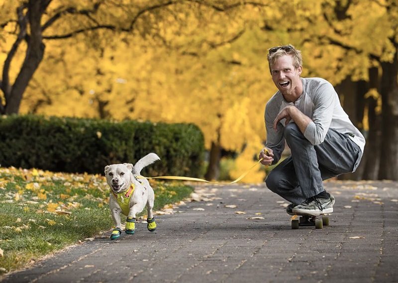 Dog footwear should be an essential piece of gear for a canine, particularly if they are walking, running, etc. on rough surfaces or in hot or cold weather. If you wouldn't walk on it barefoot don't make them do it! 