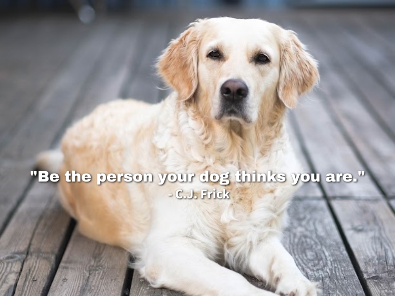 "Be the person your dog thinks you are."- C.J. Frick