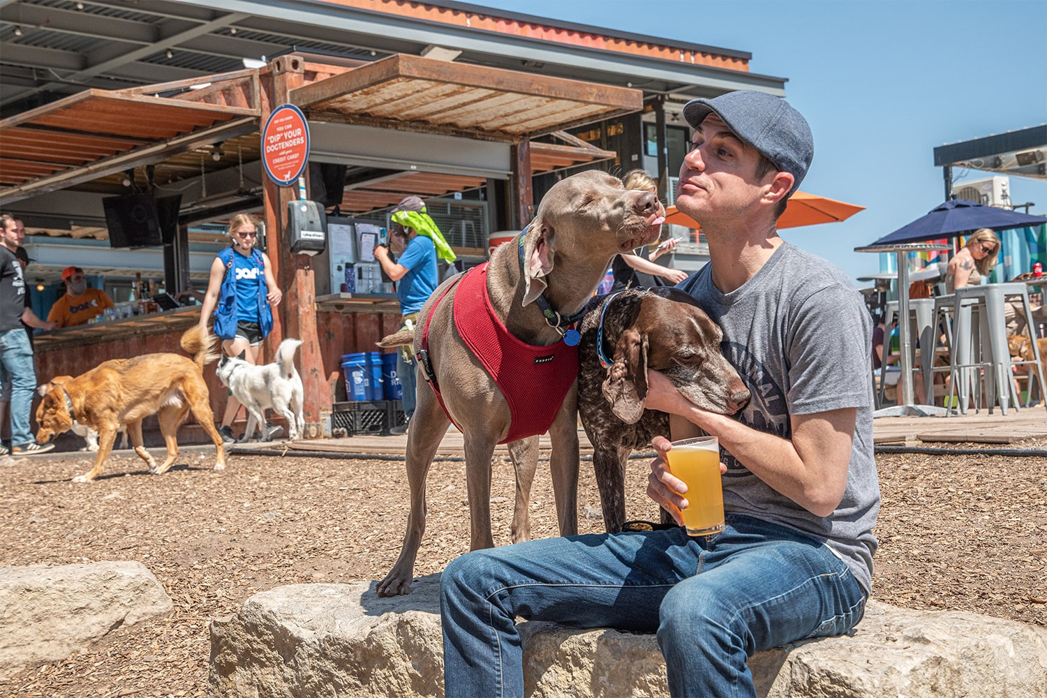 Bar K has been voted best dog bar in the United States by USA Today. Locations include BarK Kansas City, BarK OKC, and BarK St. Louis