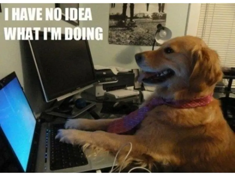 "I have no idea what I'm doing" dog meme