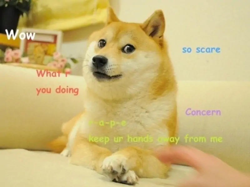 Original Doge meme featuring Kobosu. Reads: Wow. What r you doing. So scare. Concern. Keep ur hands away from me.